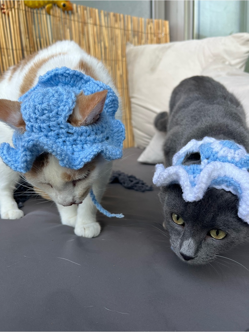 Handmade Custom Crochet Cat Hats- Soft Crochet Headpiece for Cats